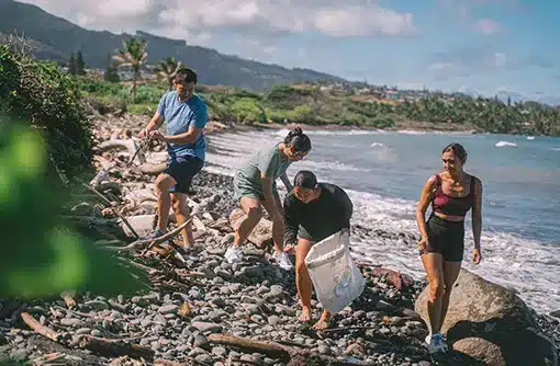 HVCB_Maui_Malama Hawai‘i_Waihe‘e