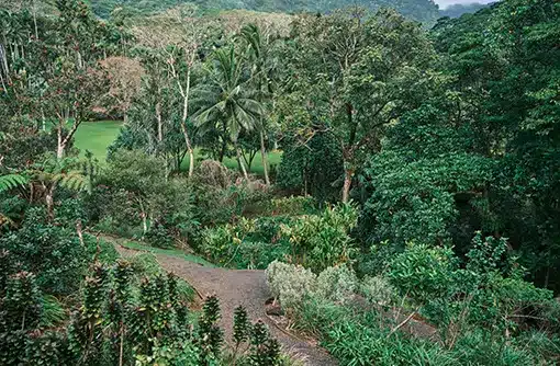 HVCB_O‘ahu_Lyon Arboretum_Hiking_20334