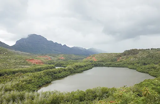 Hawaiian Historical Sites HVCB_Kaua‘i_Alekoko Fishpond_01529