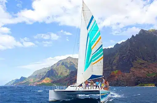 Lū‘au Blue Hawaiian_Book Activities_Kauai