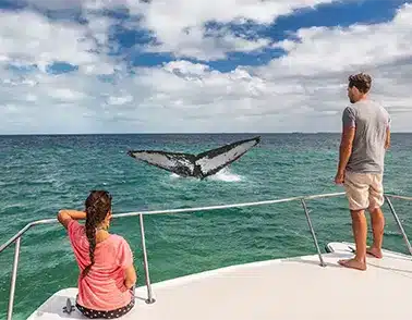 Maui things to do featured image