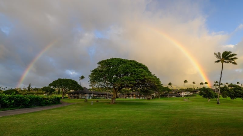 Maui Golf Courses: A stunning rainbow illuminated above an iconic Banyan tree at a golf course in Maui, Hawaii.